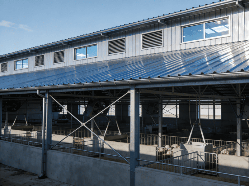 Famu ya Steel Frame